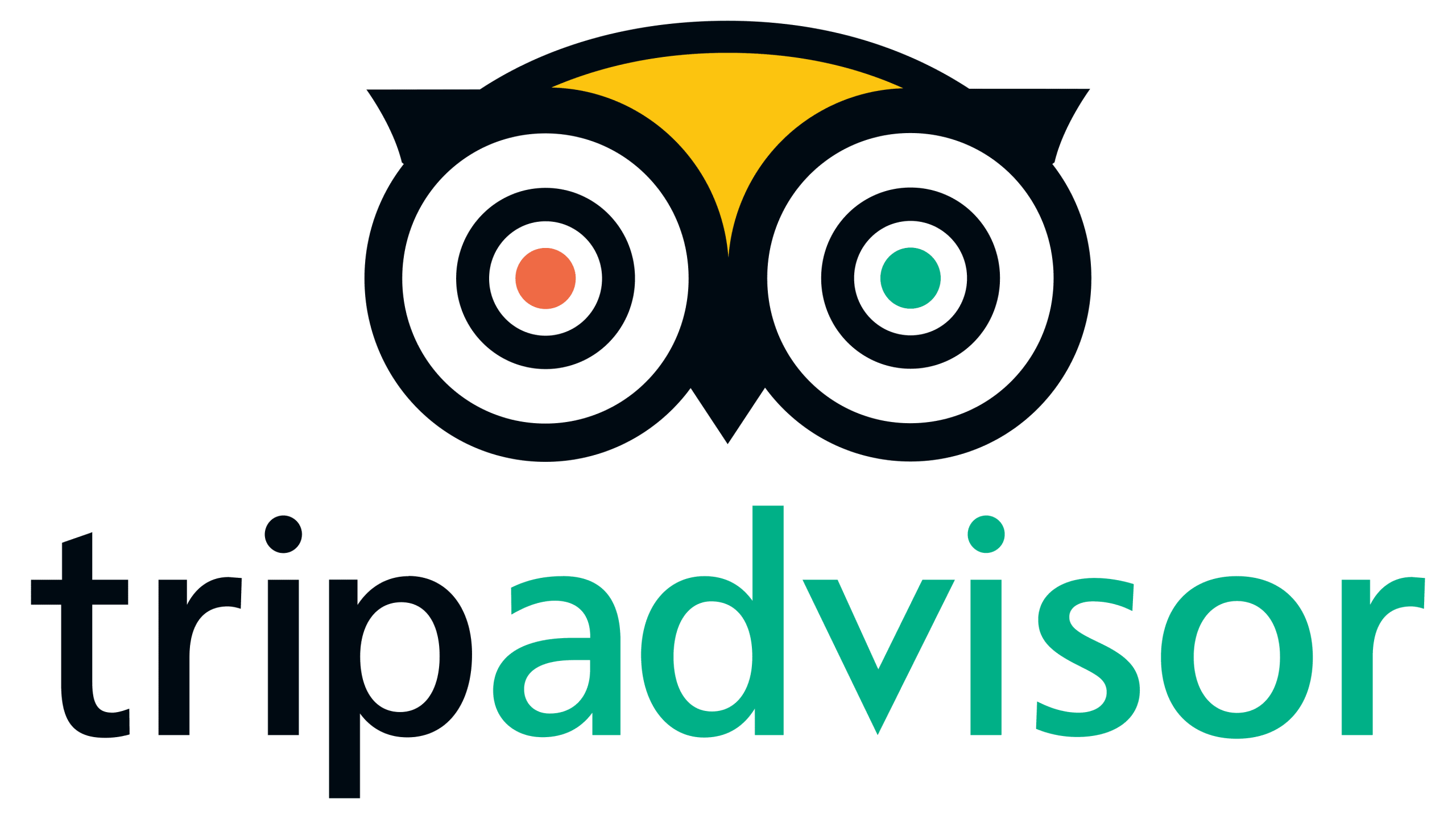 Tripadvisor-Emblema-scaled.png